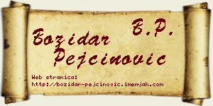 Božidar Pejčinović vizit kartica